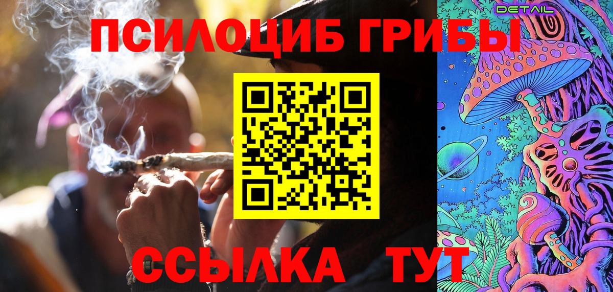 Псилоцибиновые грибы Psilocybe  Вход с VPN  Воркута 