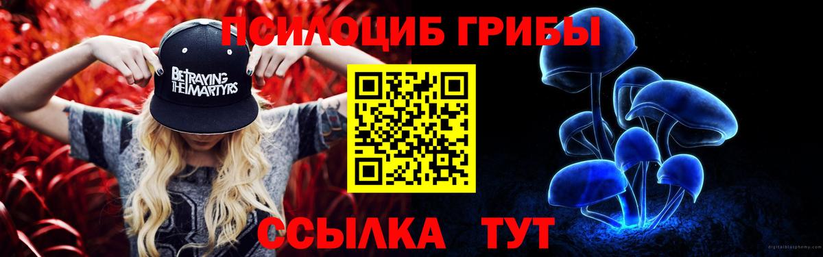 Псилоцибиновые грибы Magic Shrooms Воркута